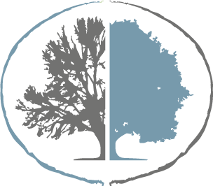 Baum aus dem Logo der Eva Marx Coaching People | Business | Planet